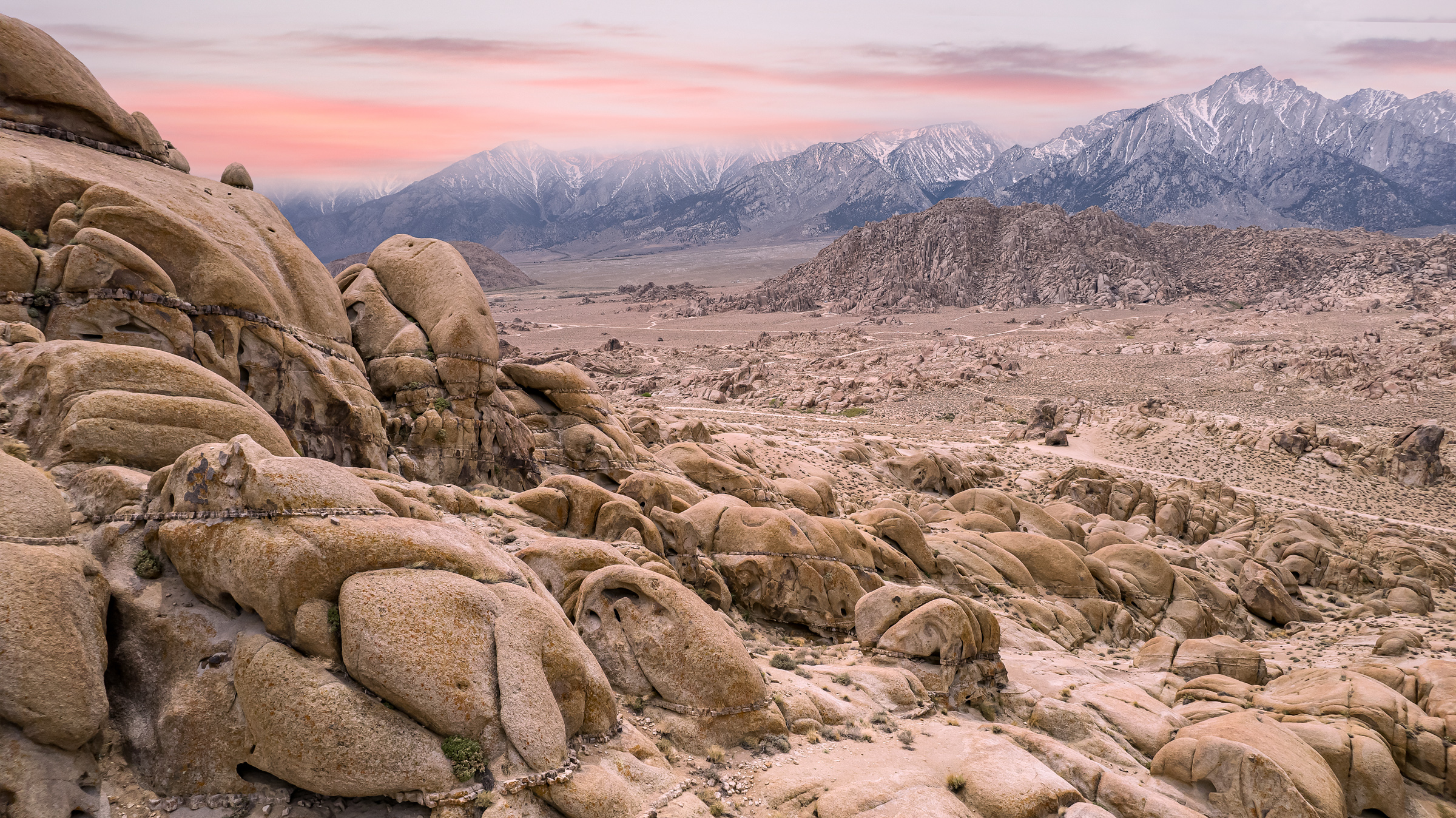JASON SPETH LANDSCAPE 26